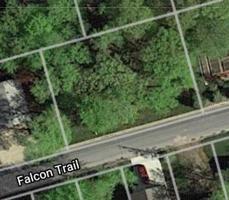 XXX Falcon Trail