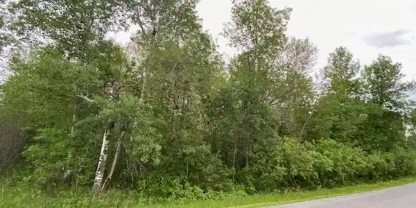 TBD Hwy 11 E