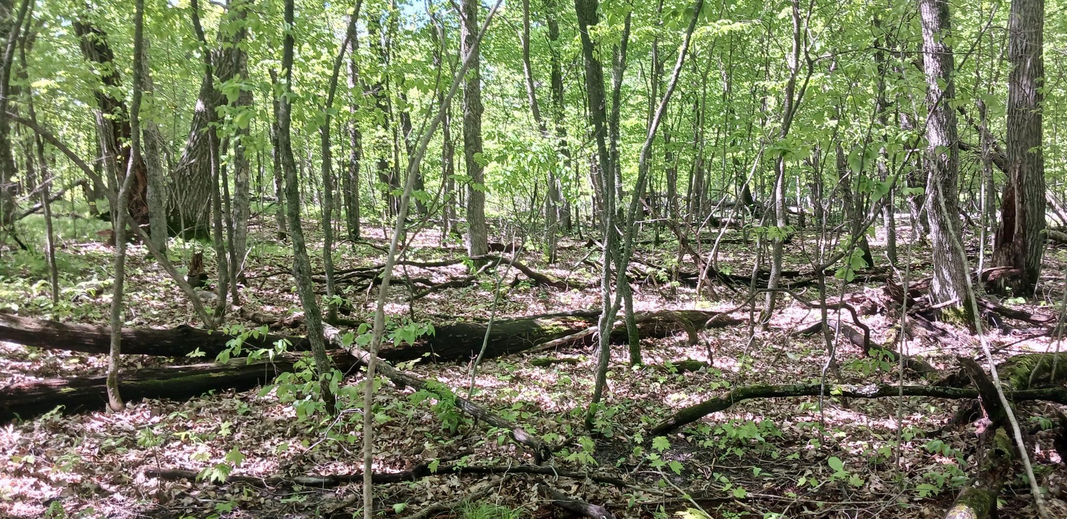 Image 3 Image 3