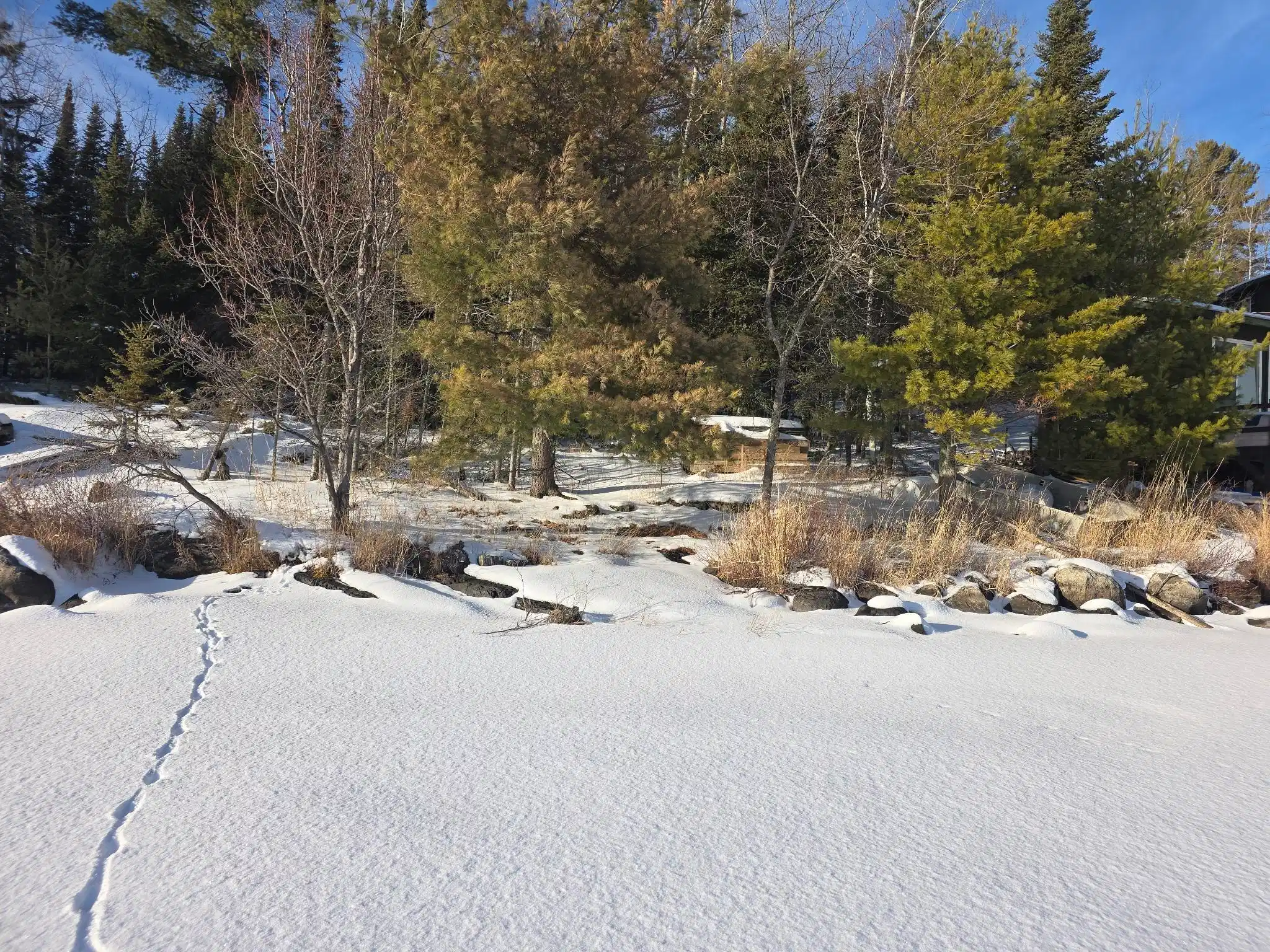Image 1 Image 1