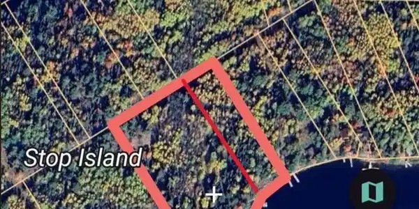Image 4 Image 4