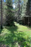 3407 Highway 3