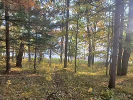 xxxx Ossawinnamakee Road