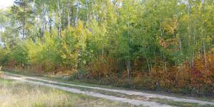 9XX 46th Avenue SW