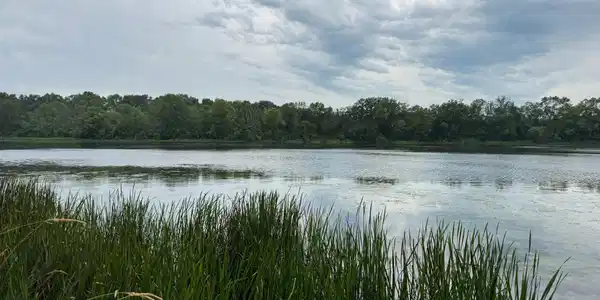 TBD Bass Lake Lane