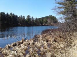 24299 Long Lake