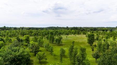 Lot 2 Rutten Lane NE