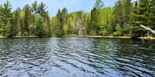 TBD Little Elbow Lake
