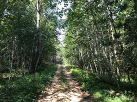 TBD Firewood Trail