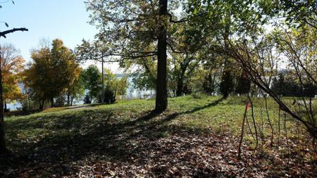 893 White Clover Beach Road