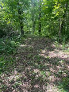 TBD County Road 144