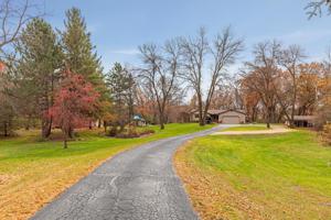 23695 Jersey Court