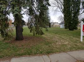 30600 Maple