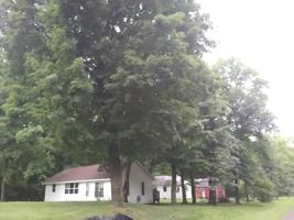 43375 Vision Road