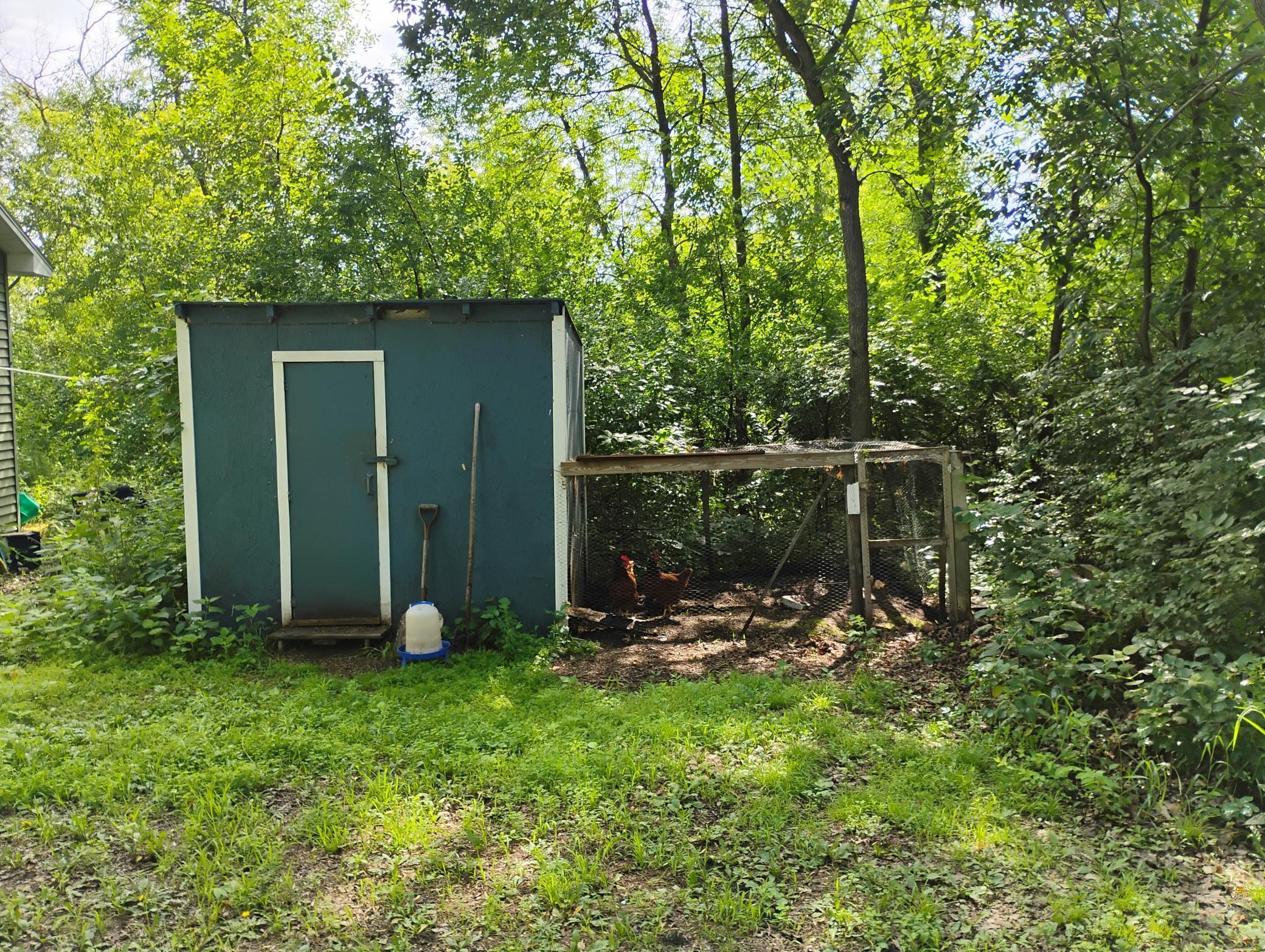 Image 4
