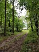 Lot 1/4 279th NW