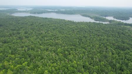Parcel B Ticonderoga Trail
