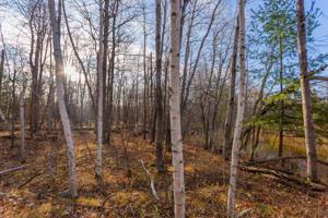 Tract 3 County RD 5