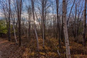 Tract 6 County RD 5