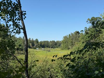 TBD Azalea Road