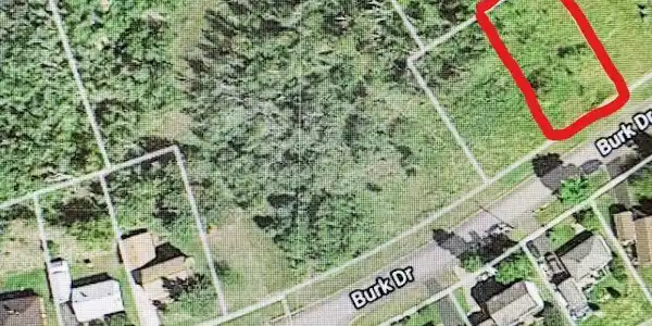 XXX 1 Burk Drive