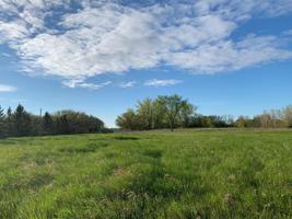 XXXXX Fairy Lake Road