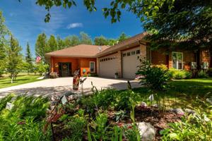 118 White Spruce