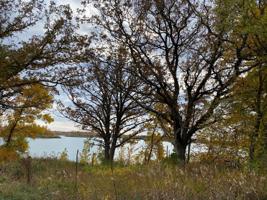 17260 Boyer Lake