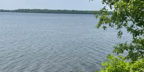 Lot 4 Games Lake Avenue N