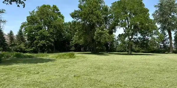 Image 4 Image 4