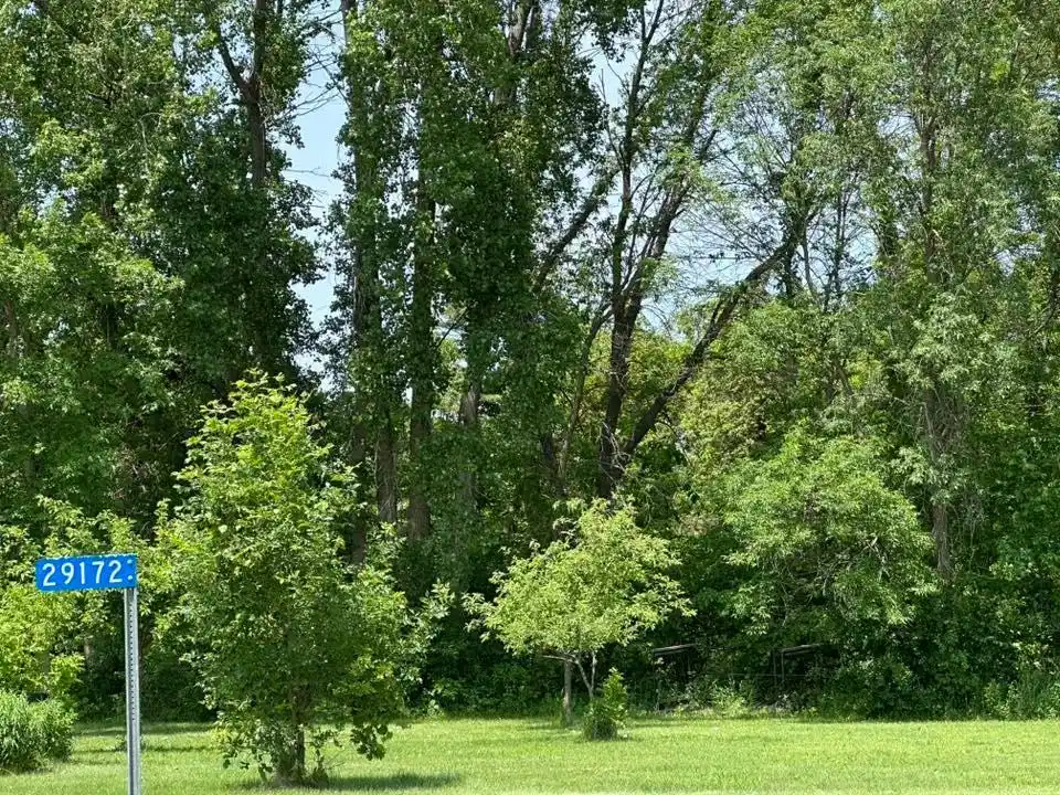 Image 1 Image 1
