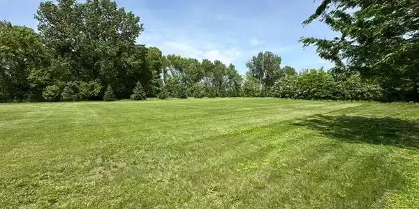 Image 4 Image 4