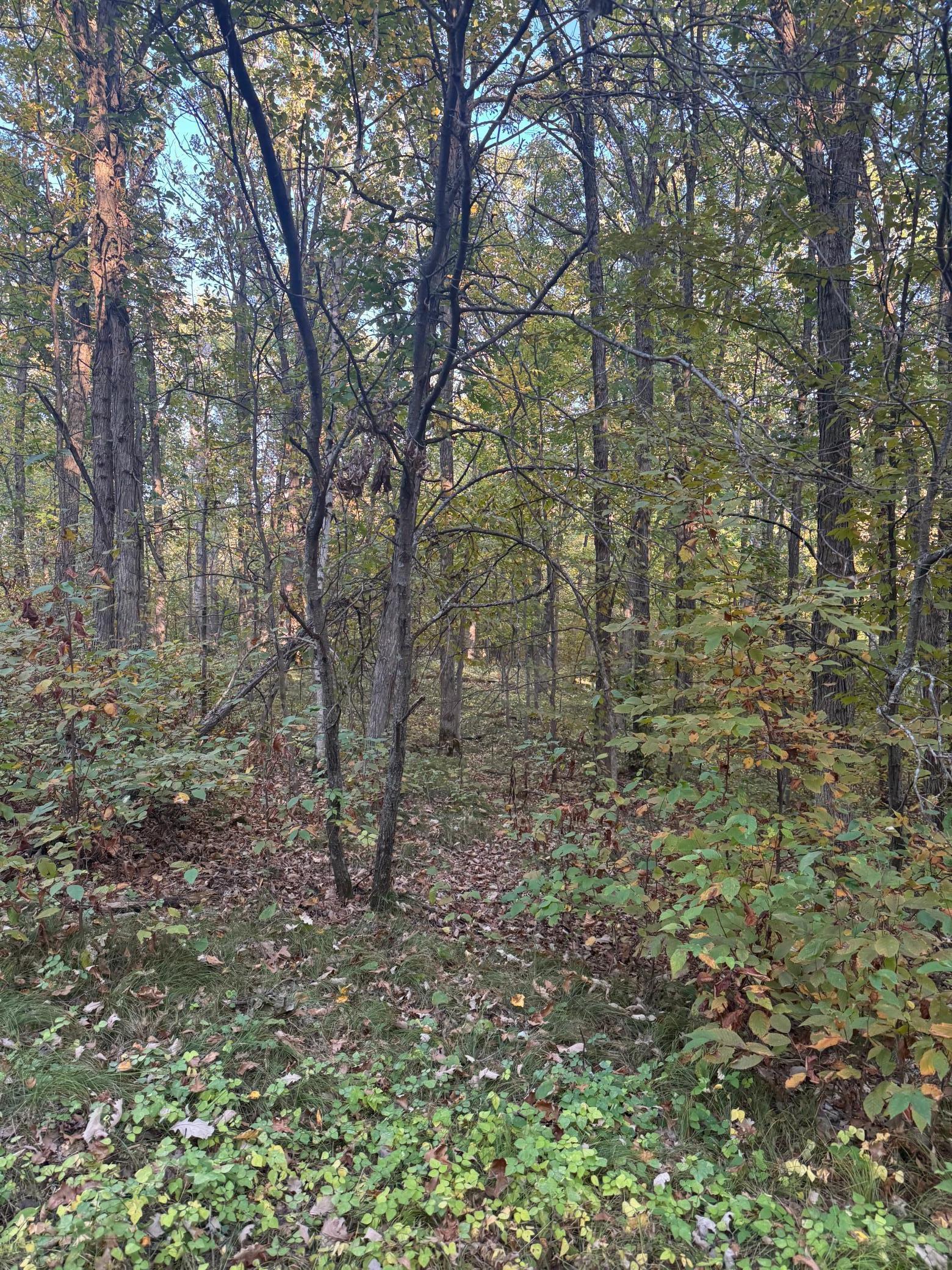 Image 3 Image 3