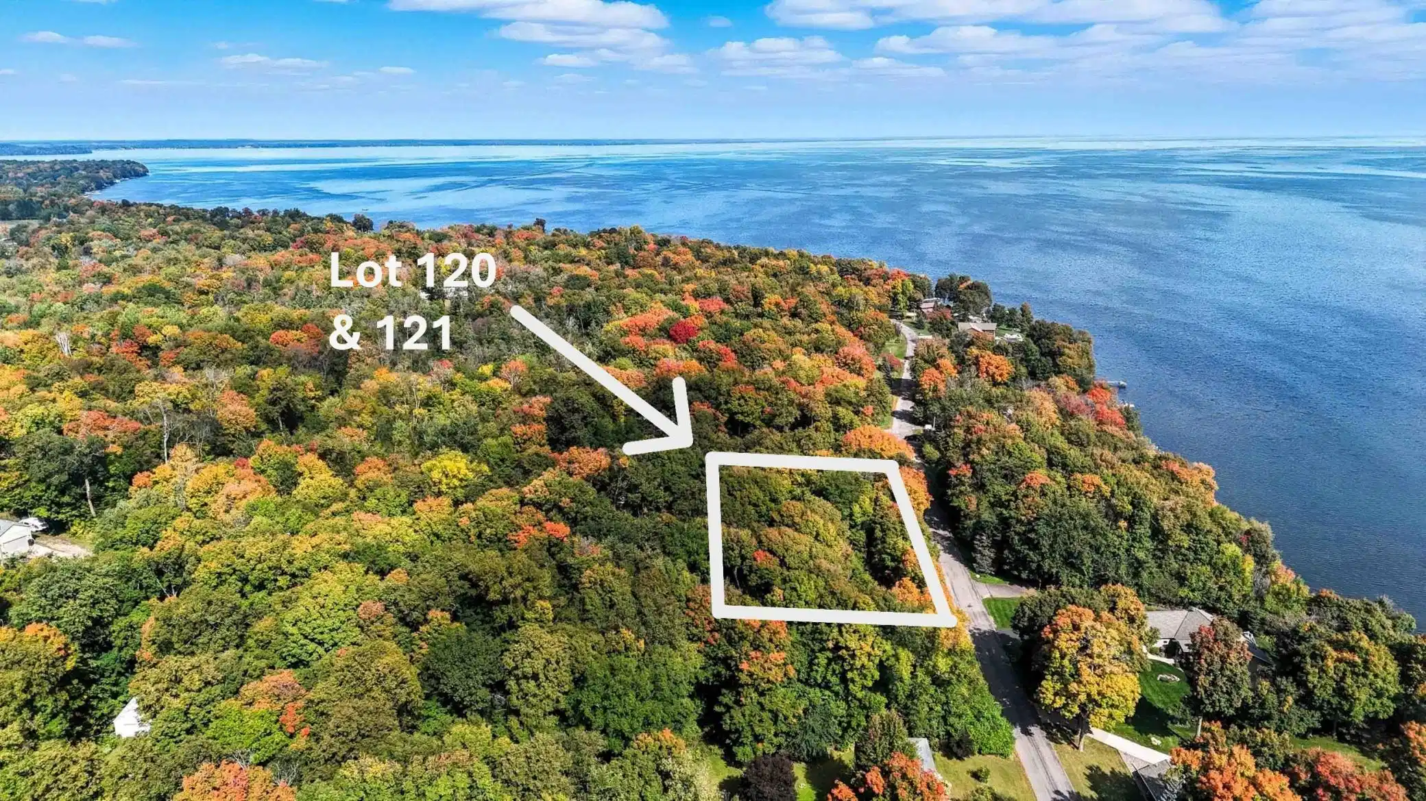 Image 1 Image 1