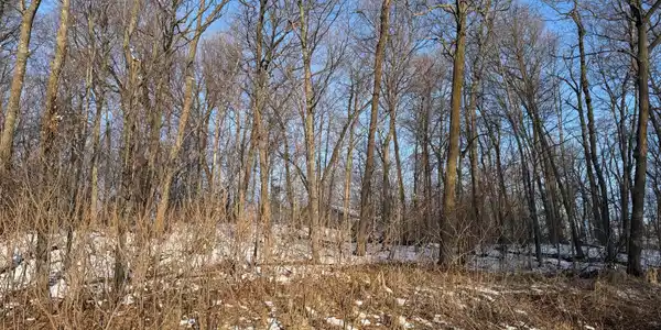 Image 4 Image 4