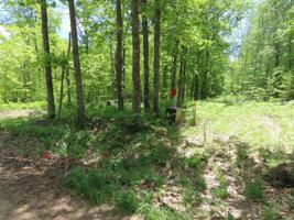 TBD 160th Lane