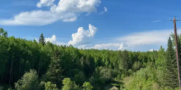 TD Willow River Rd