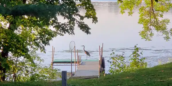 26434 Lakeview