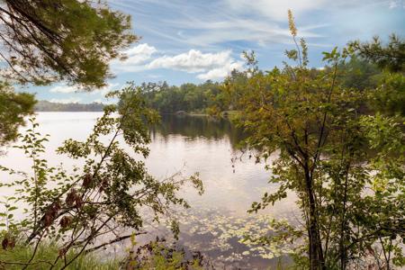 24406 Island Lake