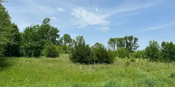 Image 2 Image 2