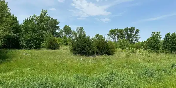 Image 3 Image 3