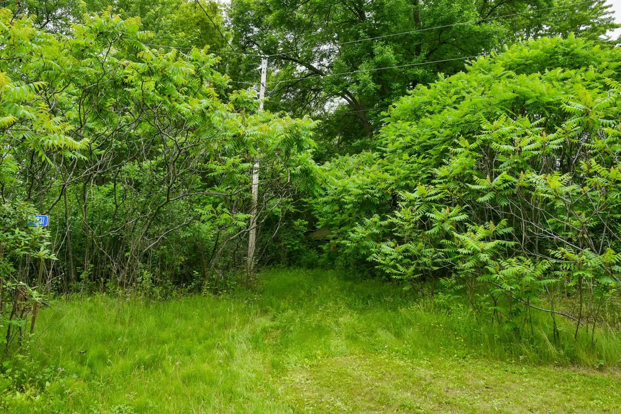 Image 1 Image 1