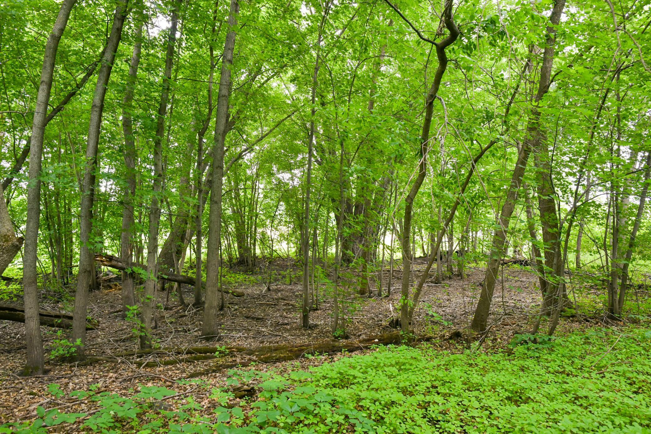 Image 3 Image 3