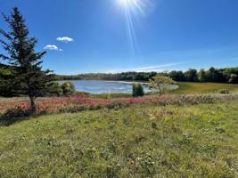 23623 Millview