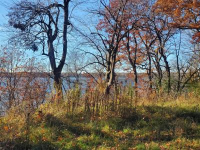 Lot 3 E Cedar Lake Ct