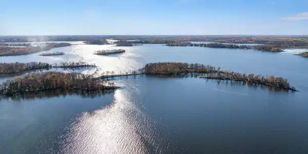 TBD Frog Island
