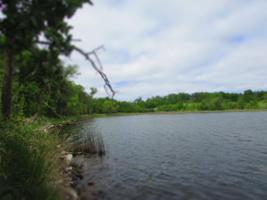 20 acres Sybil Lake
