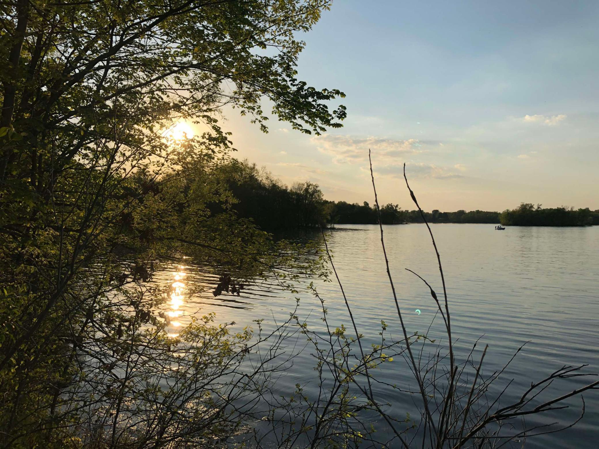 Image 1 Image 1