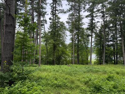 TBD Fawn Lake rd
