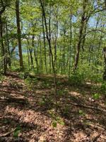 L21B3 Eagle Ridge